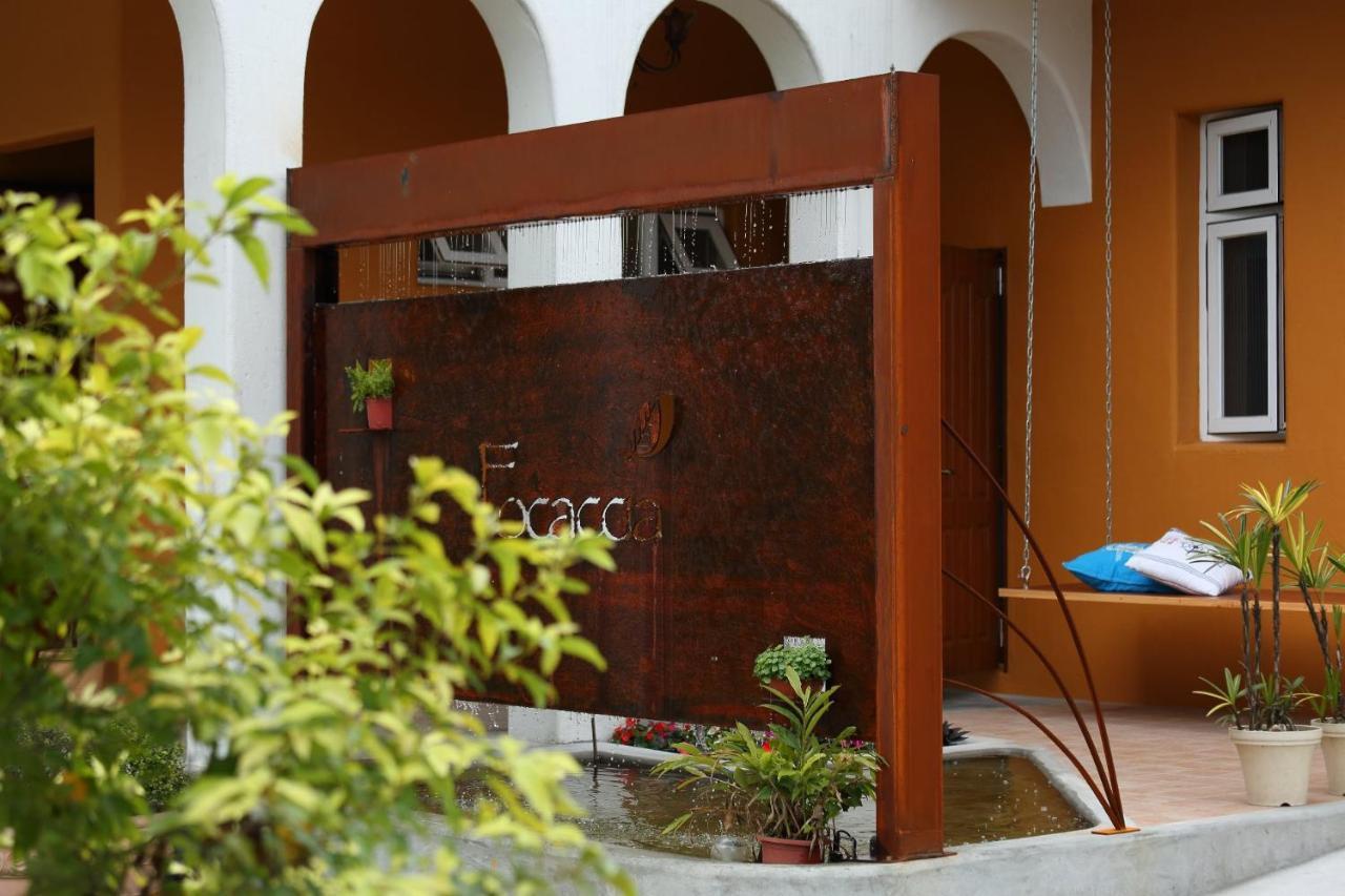 Focaccia Manor B&B Fengping Exterior foto